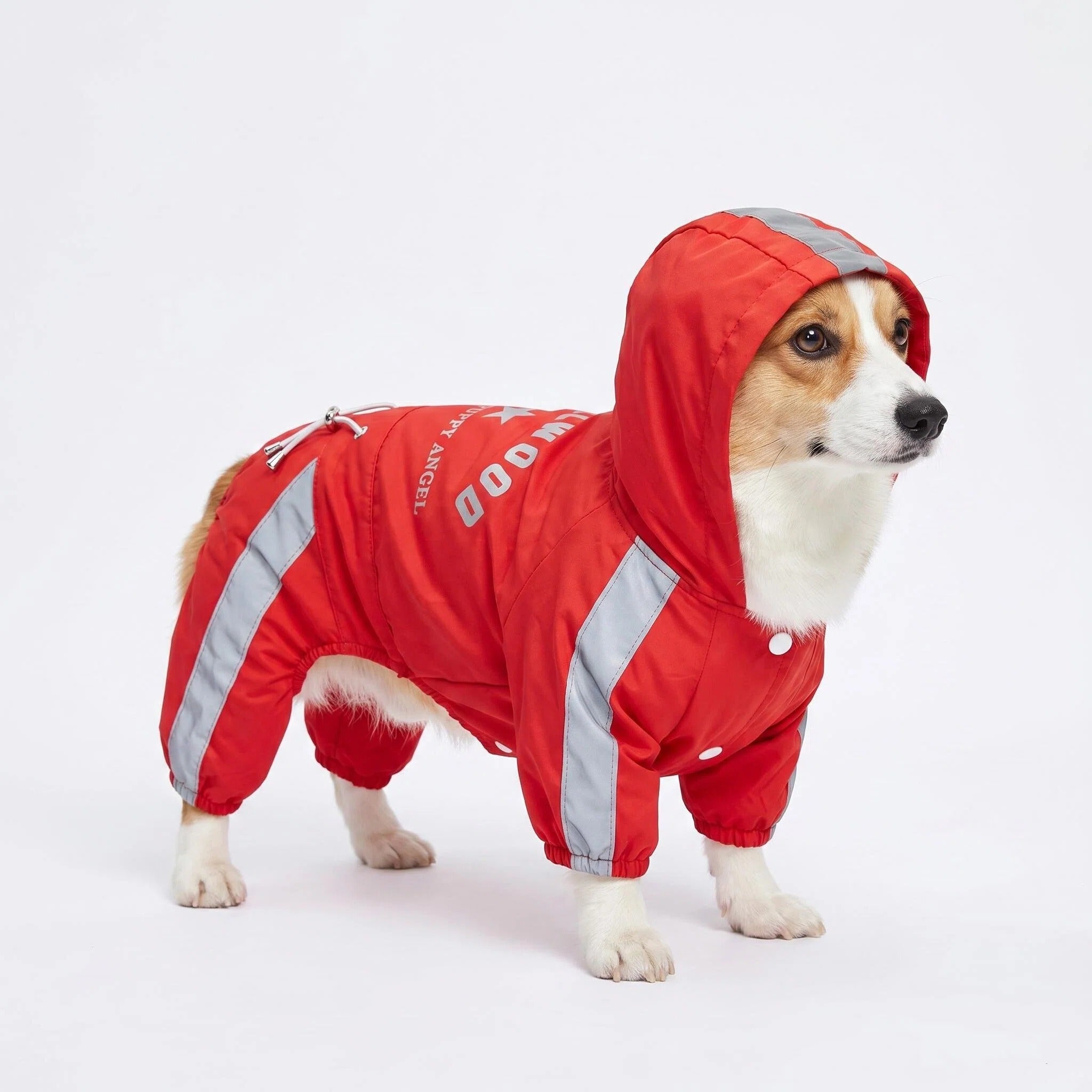 Reflective Waterproof Dog Rain Suit