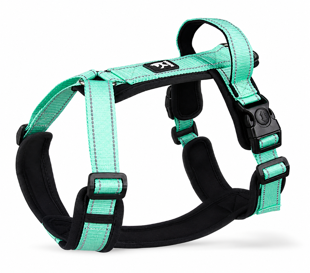 Adjustable H-Style Harness with Soft Padded Handle