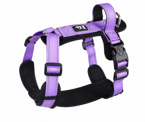 Adjustable H-Style Harness with Soft Padded Handle