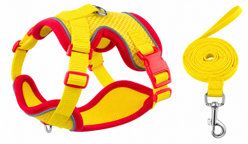 Breathable Mesh Dog Harness & Leash Set