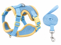 Breathable Mesh Dog Harness & Leash Set