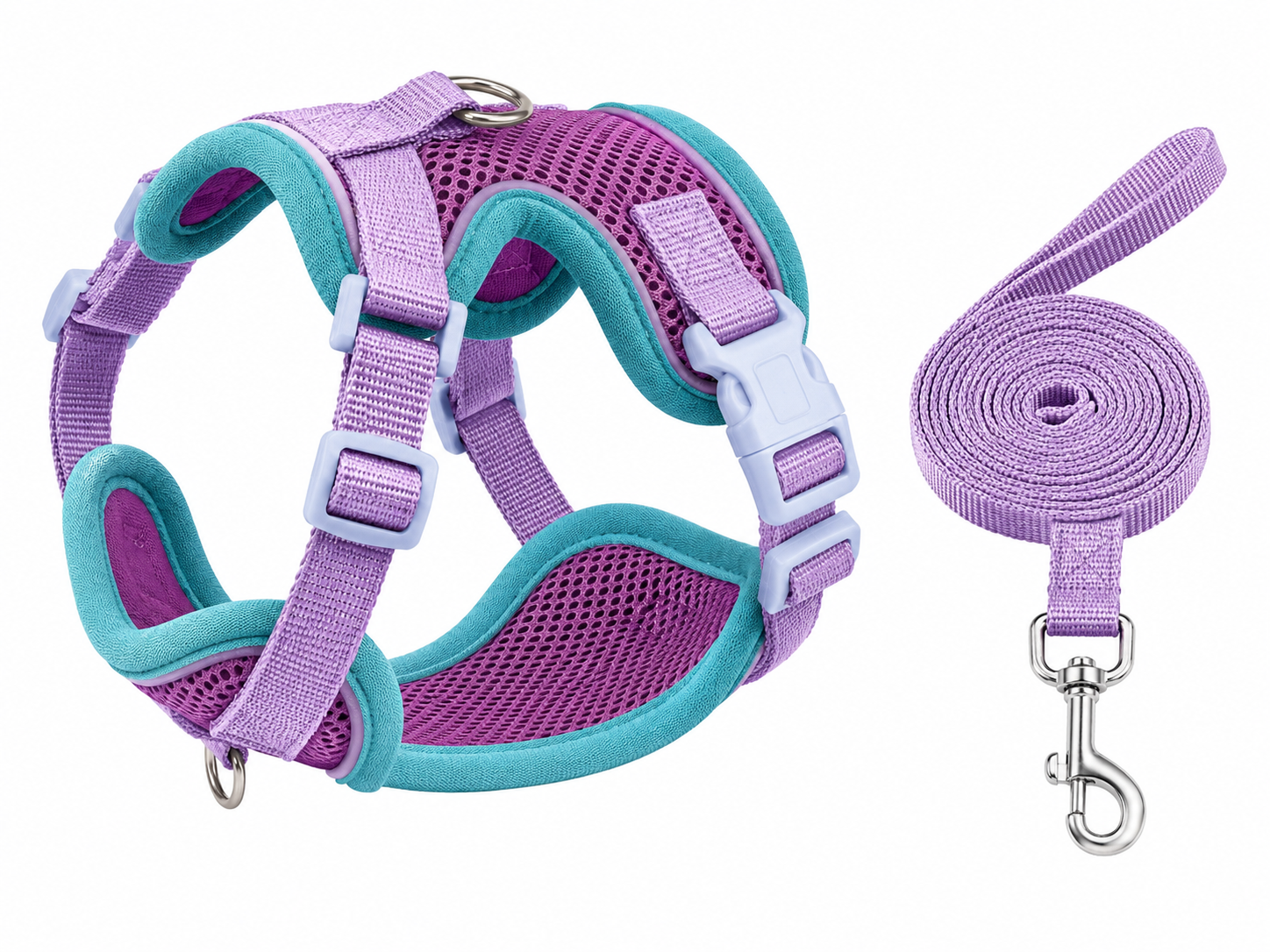 Breathable Mesh Dog Harness & Leash Set