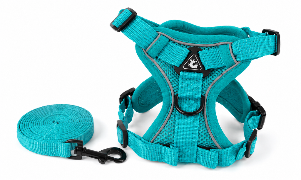Adjustable Harness & Leash Set for Small & Medium Pets