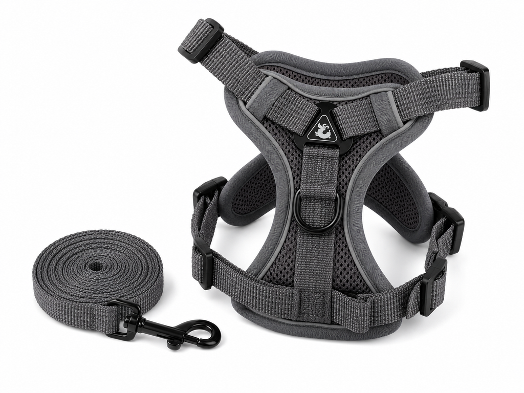 Adjustable Harness & Leash Set for Small & Medium Pets