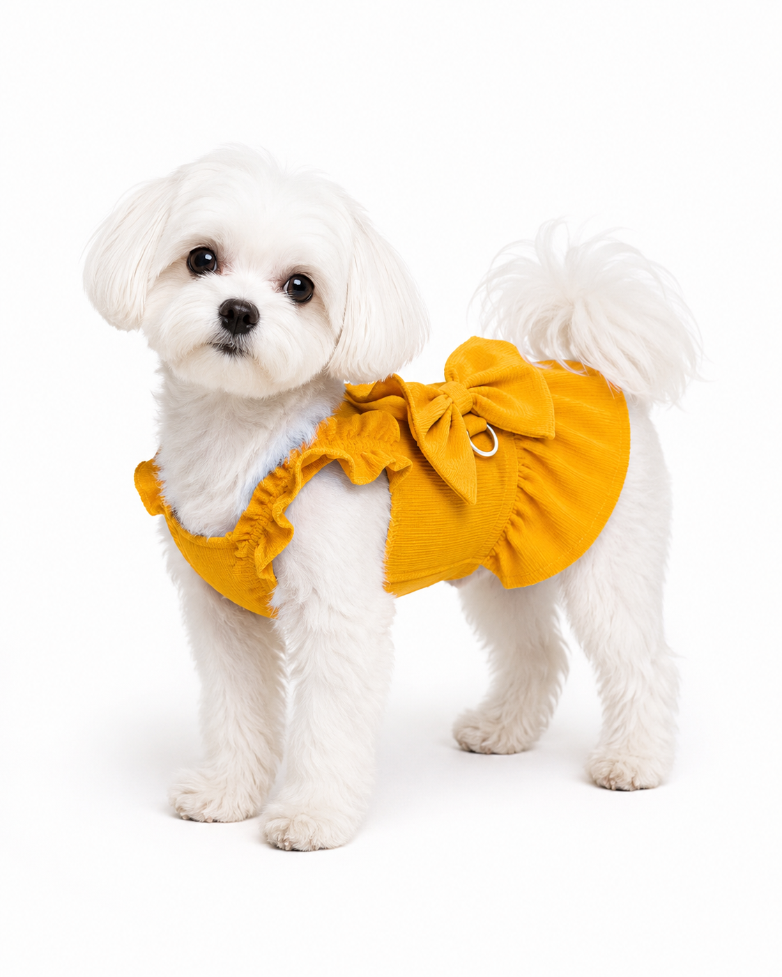 Ruffle Corduroy Pet Dress