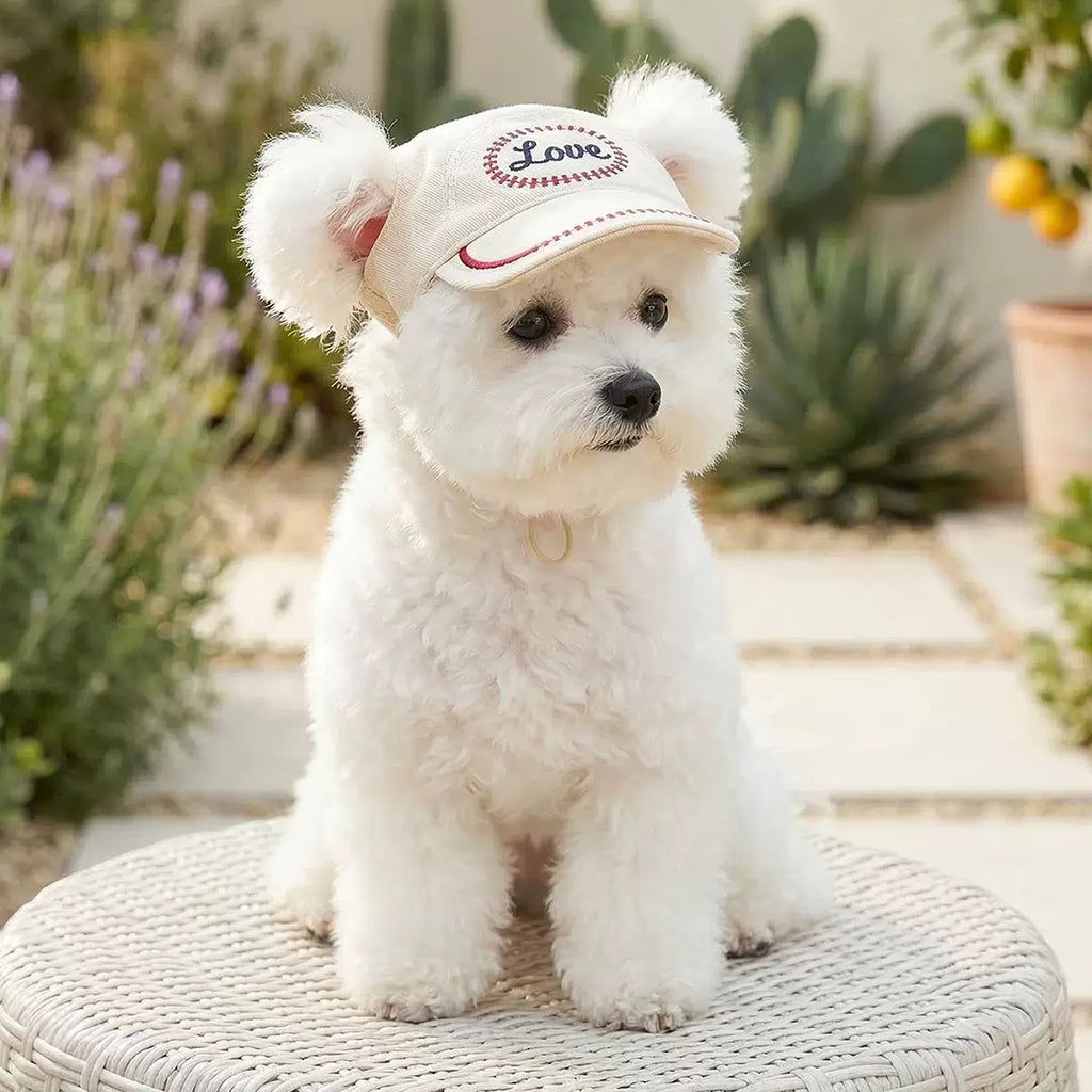 Love Pet Baseball Cap