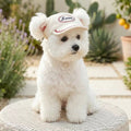 Love Pet Baseball Cap