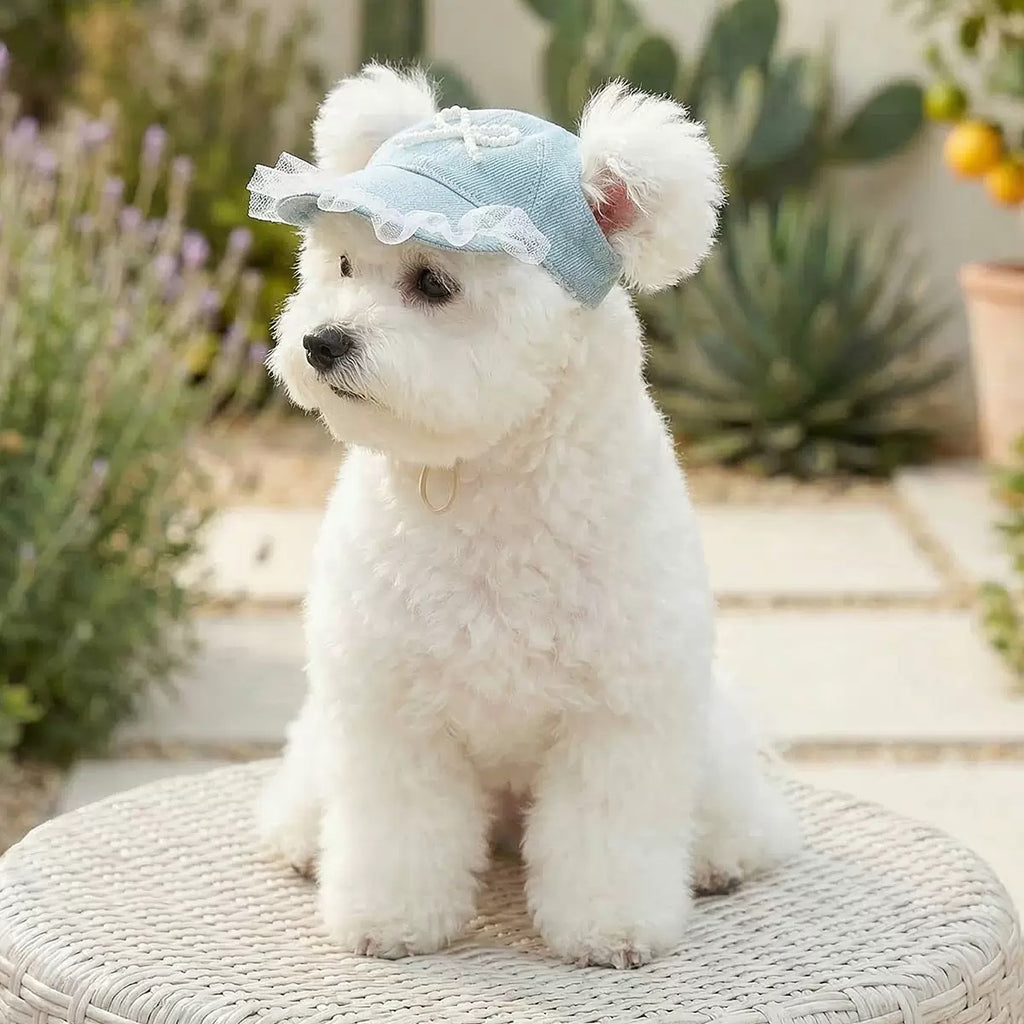 Pearl Bow Pet Baseball Cap