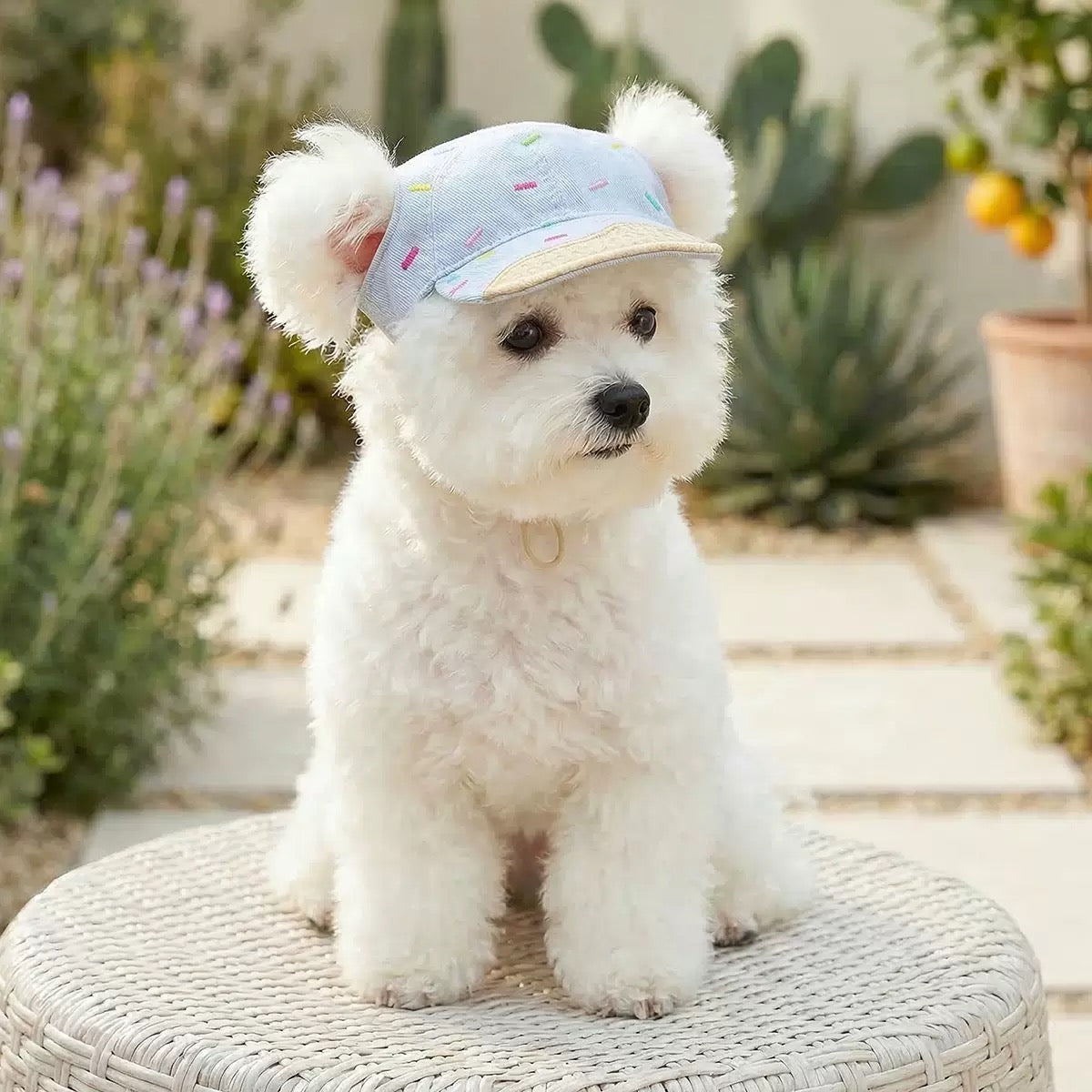 Ice Cream Sprinkle Pet Baseball Cap