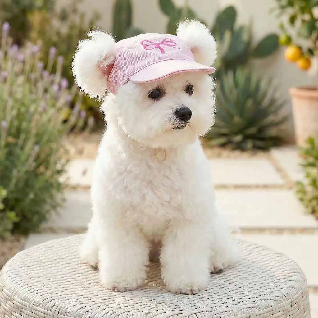 Pink Bow Pet Baseball Cap