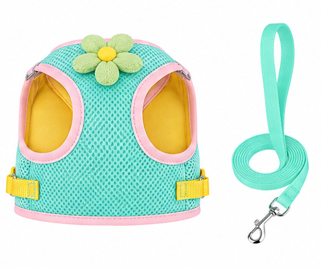 Flower Mesh Dog Harness & Leash Set